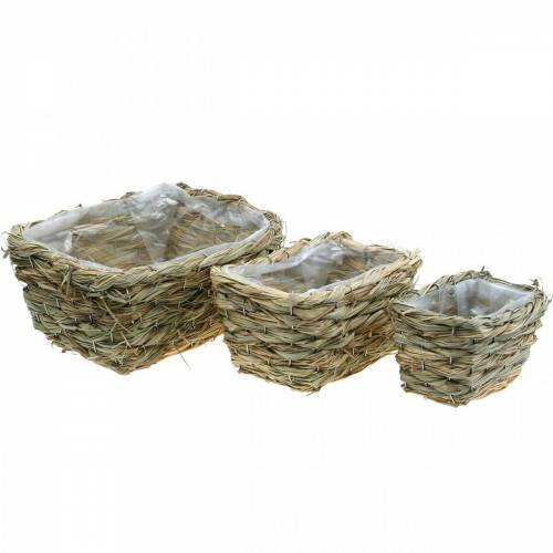 Itens Cesta de flores, cesta decorativa feita de feno, plantador, cesta decorativa quadrada conjunto de 3