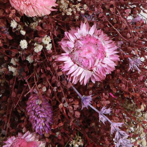 Floristik24 Coroa de flores coroa de flores secas vinho tinto rosa Ø25cm