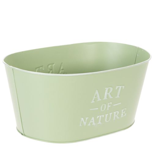 Vaso oval para flores em zinco verde menta, 27×18cm A12,5cm | Floristik24.pt