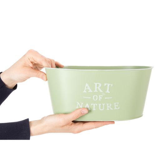 Vaso oval para flores em zinco verde menta, 27×18cm A12,5cm | Floristik24.pt