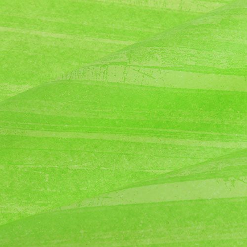 Floristik24 Flor Seda Trendline Verde 50cm 6kg