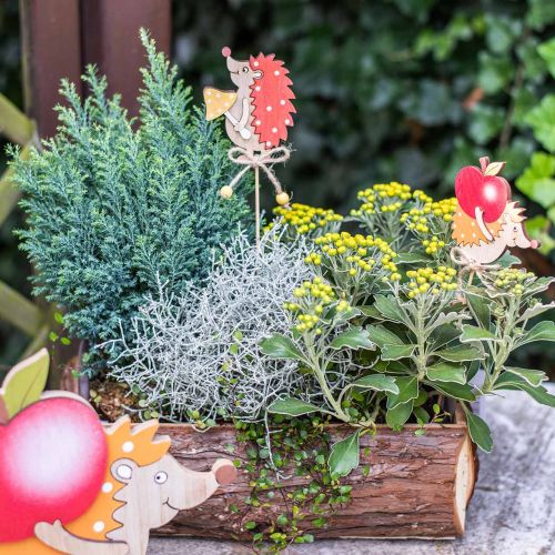 Floristik24 Ouriço de vara de flores, decoração de madeira, figura de outono H9.5cm L32cm 12pcs