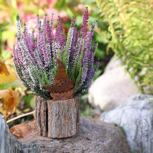 Itens Vaso de madeira para plantas, casca de gnomo, ferrugem, altura 24 cm
