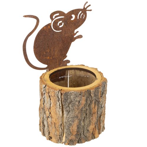 Floristik24 Vaso de madeira para plantas casca e ferrugem de rato H24cm