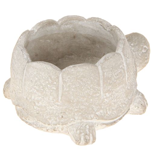 Itens Vaso de flores tartaruga concreto decoração cinza branco 15,5 cm 2 peças