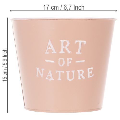 Itens Vaso de zinco Art of Nature, rosa antiga, Ø17,5cm A15cm