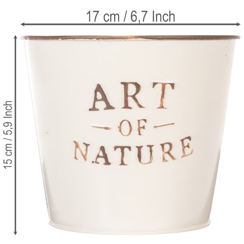 Vaso de zinco Art of Nature Creme Ø17,5cm A15cm | Floristik24.pt