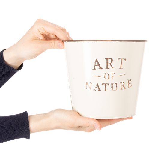Itens Vaso de zinco Art of Nature Creme Ø17,5cm A15cm