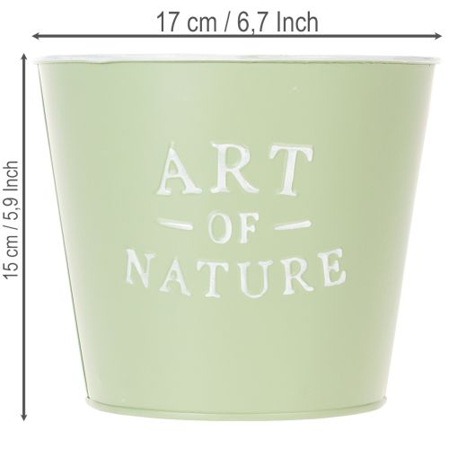 Itens Vaso de zinco Art of Nature verde menta Ø17,5cm A15cm