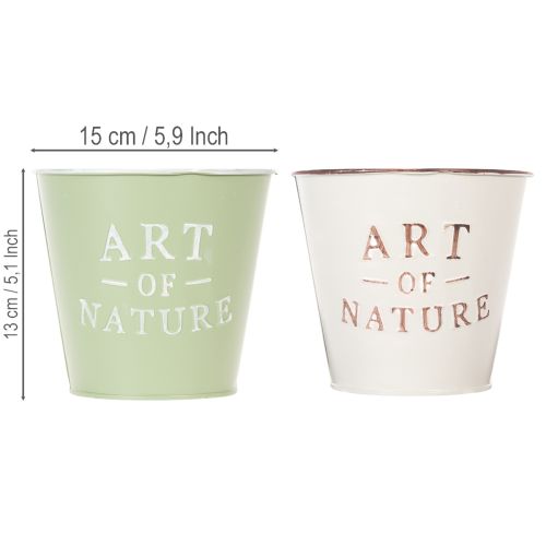 Vaso Art of Nature com inscrição, decoração para peitoril de janela e sala de estar, 15 cm, 2 peças | Floristik24.pt