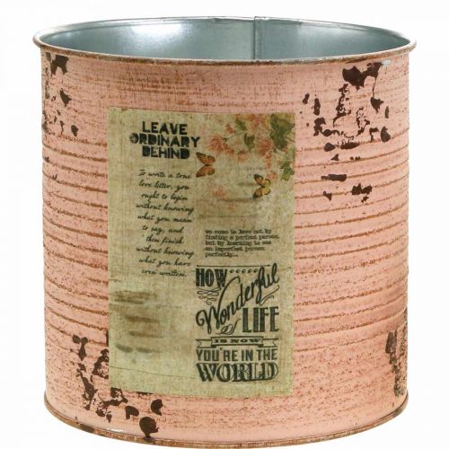 Floristik24 Vaso de flores decoração lata salmão metal balde de plantas Ø15.5cm H15cm