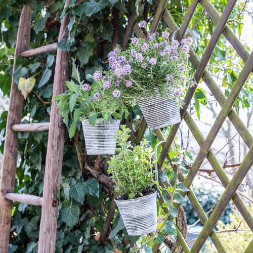 Floristik24 Vaso de flores para pendurar metal antigo creme Ø13cm H11.5cm