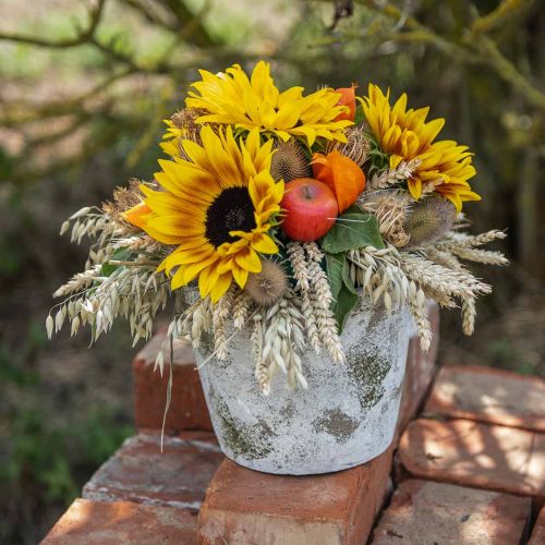 Floristik24 Vaso de flores antigo com pátina Ø20.5cm H16cm