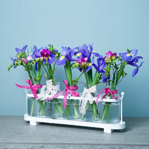 Floristik24 Vaso de flores garrafas de boticário decoração de vidro de boticário na bandeja 38cm