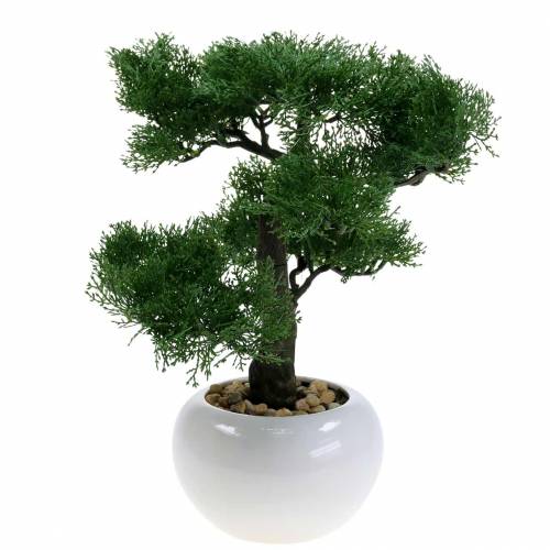Floristik24 Pinheiro Artificial Bonsai em um vaso Alt.36cm