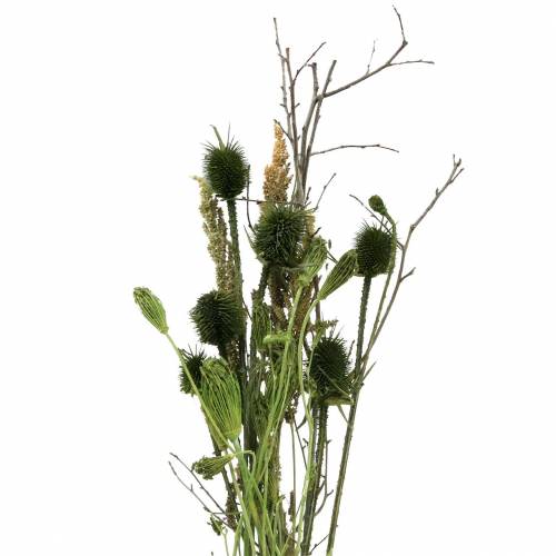 Floristik24 Buquê de flores silvestres natural, verde 25-60cm 70g