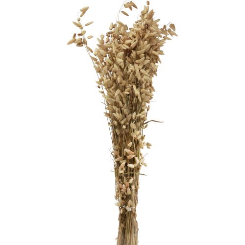 Flor seca grama trêmula natural Briza grama ornamental 60cm 100g