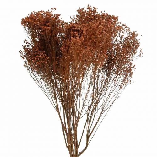 Itens Vassoura Flores Secas Bloom Marrom 170g