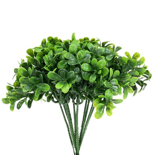 Floristik24 Ramo de buxo verde L20cm 12pcs