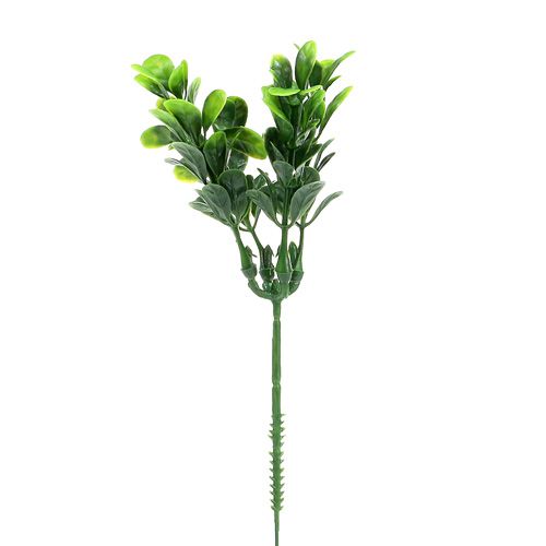 Floristik24 Ramo de buxo verde L20cm 12pcs