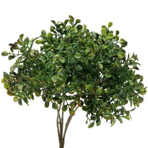 Floristik24 Ramo de buxo verde 27cm