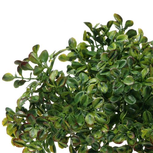 Floristik24 Ramo de buxo verde 27cm