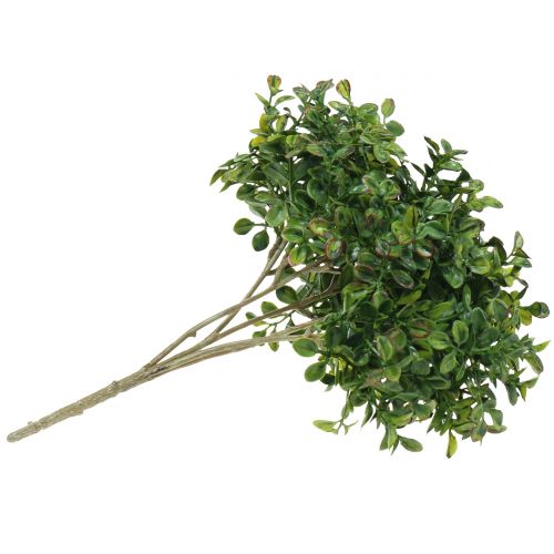Floristik24 Ramo de buxo verde 27cm