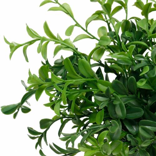 Floristik24 Ramos de caixa buxo em picareta planta verde artificial 6 unidades