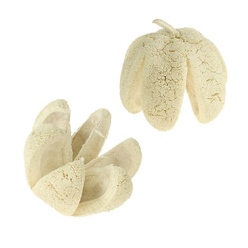 Itens Flor decorativa branqueada 12 peças
