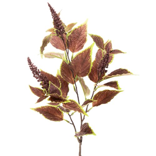 Coleus artificial com folhas vermelhas, planta artificial, 20cm comprar | Floristik24.pt