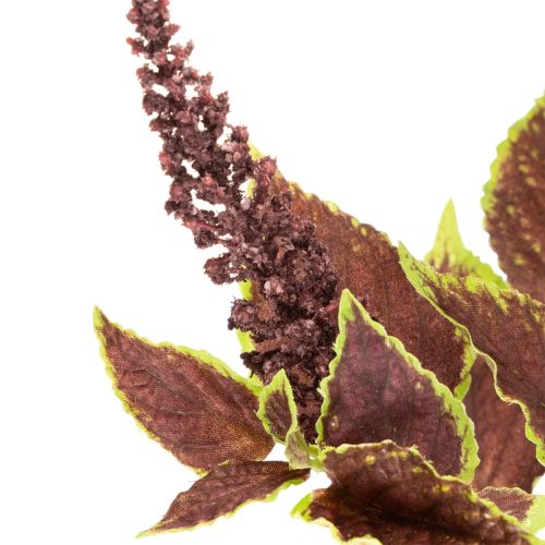Coleus artificial com folhas vermelhas, planta artificial, 20cm | Floristik24.pt