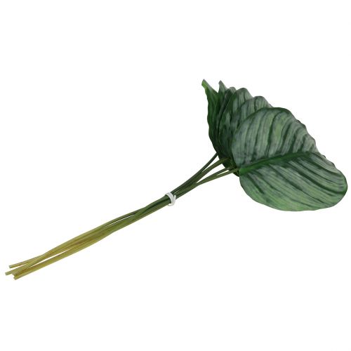 Floristik24 Folha decorativa, folha Calathea 6pcs