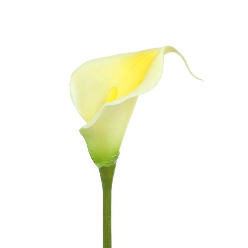 Itens Calla amarelo artificial 57 cm 12 unidades