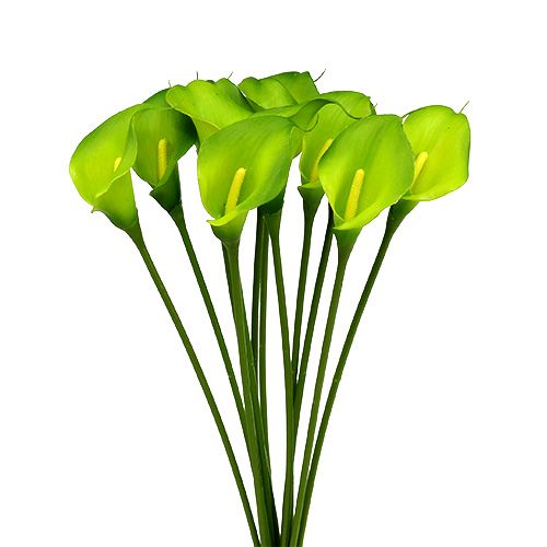 Floristik24 Calla verde artificial 8cm L57cm 12pcs