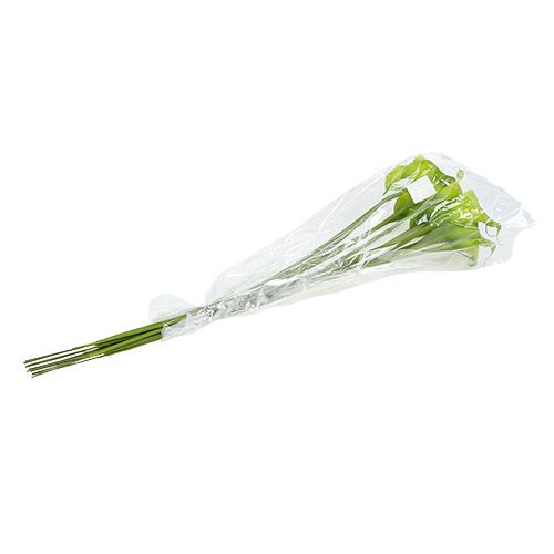 Floristik24 Calla verde artificial 8cm C57cm 12pcs