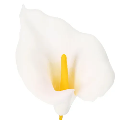 Copo-de-leite artificial com estames amarelos, flores decorativas, 35 cm, 10 peças | Floristik24.pt