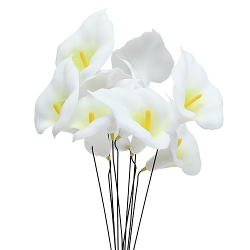 Floristik24 Calla on wire pequeno branco 50pcs