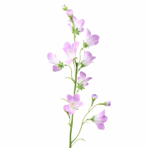 Floristik24 Campânula Artificial Campânula Violeta Branca 66 cm