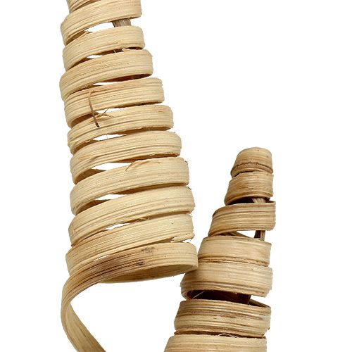 Itens Cone de Cana natural 25 unidades