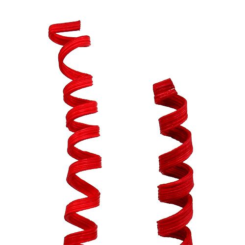 Floristik24 Cane Spring mini vermelho 25 un