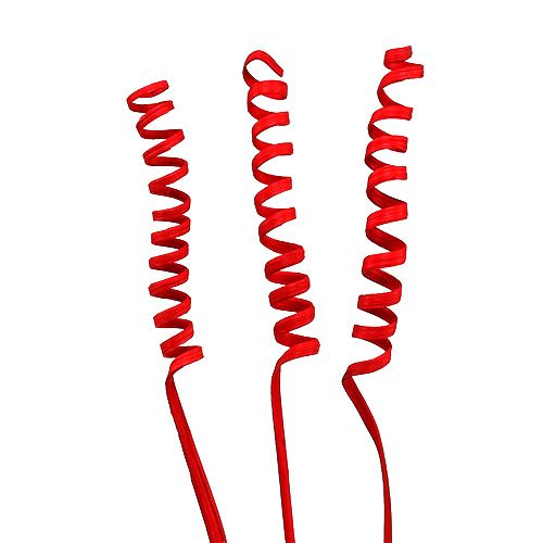 Floristik24 Cane Spring Red 25pcs