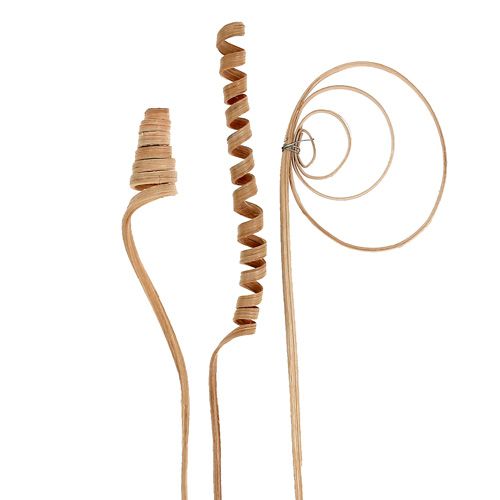 Itens Variedade de cana mini natural 75 peças