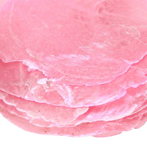Itens Decoração de concha Capiz em baga rosa 5cm–8cm mix 60 peças