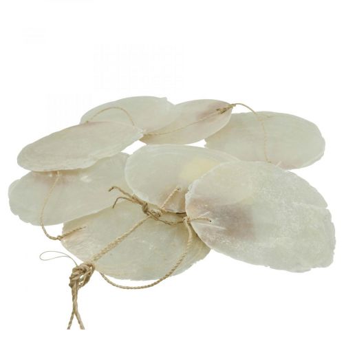 Floristik24 Guirlanda concha Capiz madrepérola decoração marítima 100cm