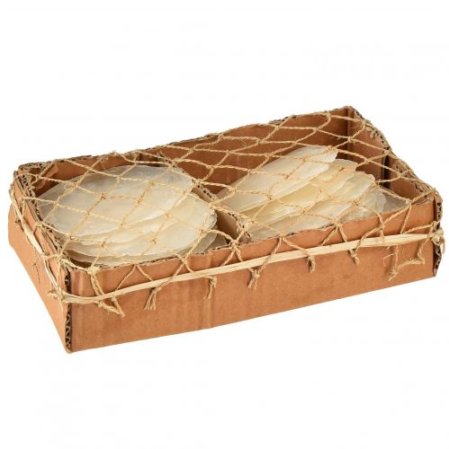 Itens Conchas de Capiz Fatias de Capiz Fatias de madrepérola naturais 7,5–9,5cm 300g