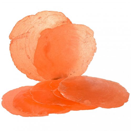 Cascas de Capiz Fatias de Capiz Fatias de madrepérola laranja 7,5–9,5cm 300g