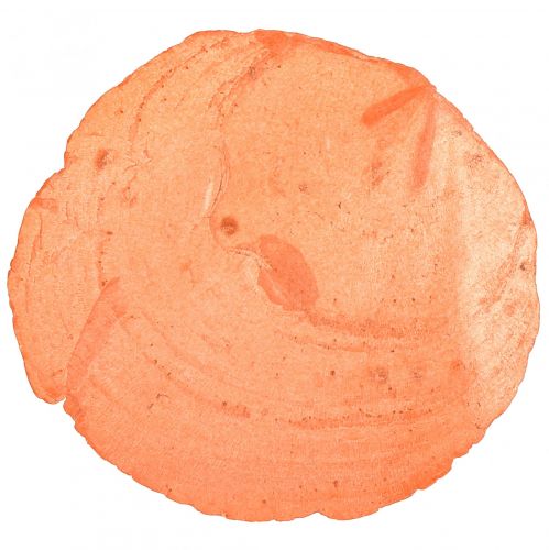 Itens Cascas de Capiz Fatias de Capiz Fatias de madrepérola laranja 7,5–9,5cm 300g