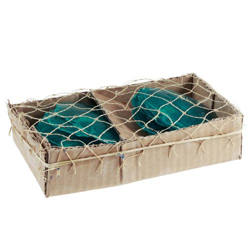 Itens Conchas Capiz Discos Capiz discos madrepérola turquesa 7,5–9,5cm 300g