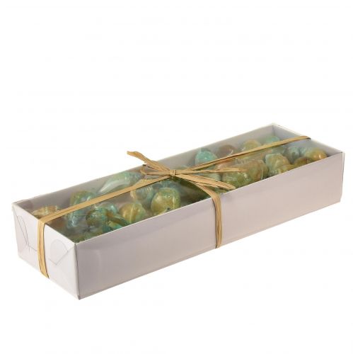 Floristik24 Concha de madrepérola Capiz Fatias de madrepérola Concha de caracol marinho verde 3,5–9,5cm 750g