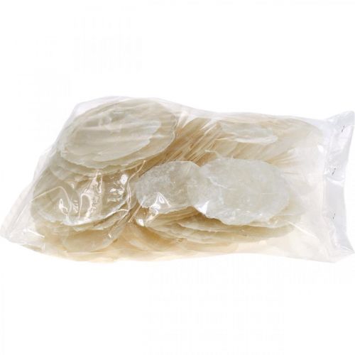 Itens Marítimo, conchas Capiz 5–10 cm, madrepérola, item natural 1 kg
